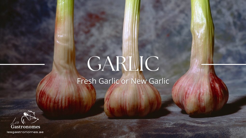 New Garlic or Fresh Garlic - Les Gastronomes