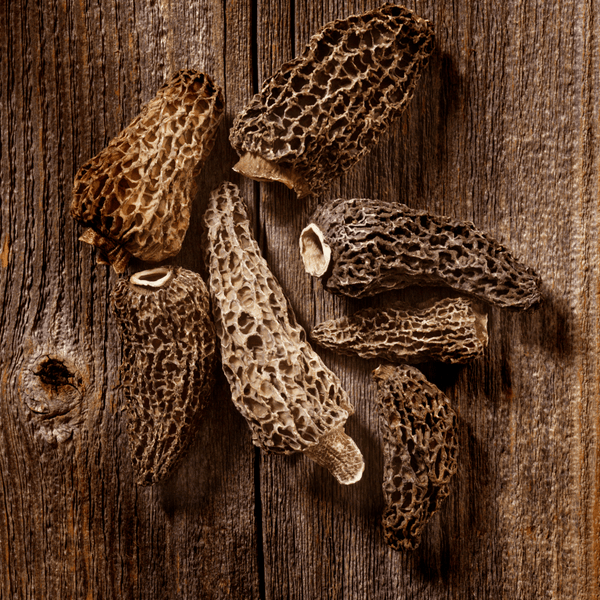 Dehydrated morels from France 50g premium wild mushrooms for gourmet cooking, dried dark organic morchella fungi