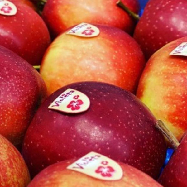 Apple Violeta per piece - Les Gastronomes