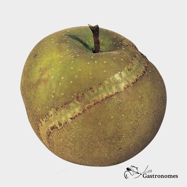 Apple wolf's claw organic fruit showing its distinctive shape and texture, also known as griffe de loup, per piece