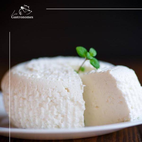 Fresh Corsican brousse or brocciu cheese in traditional packaging, a creamy white specialty from Corsica island