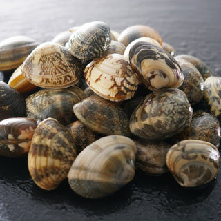 Clams, Palourdes Wild, 1Kg - Les Gastronomes