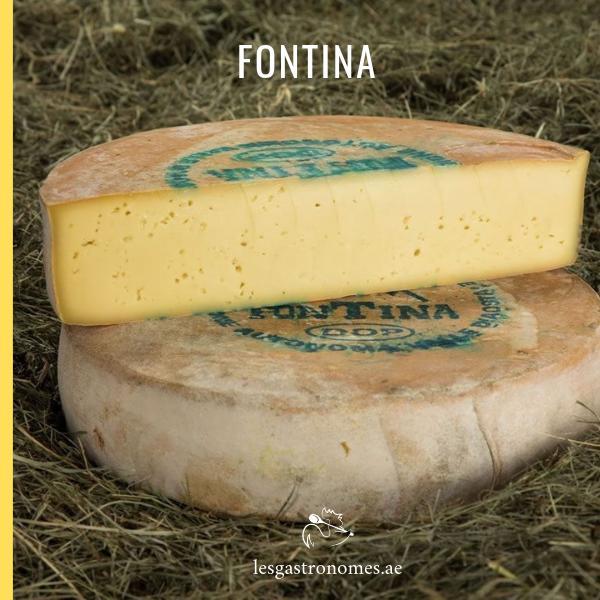 Delicious Fontina cheese with creamy texture, perfect for melting in Italian dishes and cheese boards, dairy product