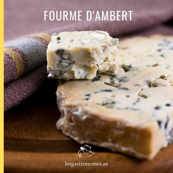 Fourme d'Ambert AOC cheese wheel with creamy blue texture and authentic French origin, traditional gourmet dairy product
