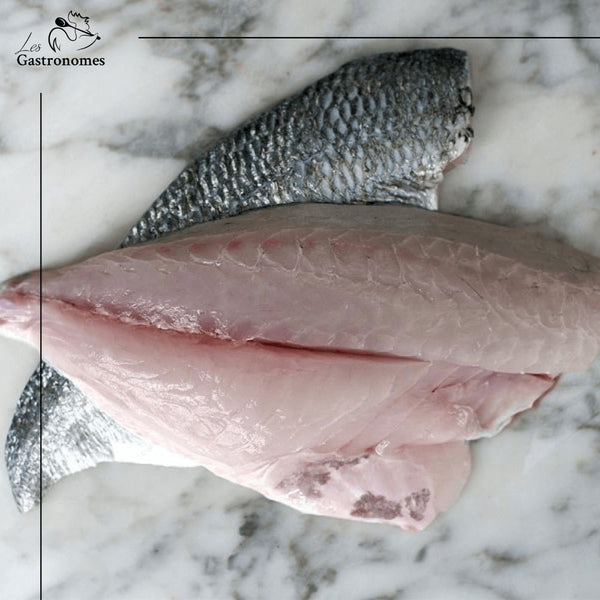 Frozen Wild Royal Seabream Fillets ±1Kg - Les Gastronomes