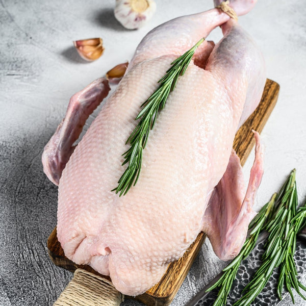 Goose, Oie 4kg to 4.3Kg - Les Gastronomes