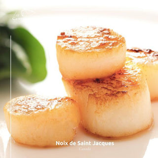 Japanese frozen scallops, large size 26-30 per kg, premium seafood product with natural white color and firm texture
