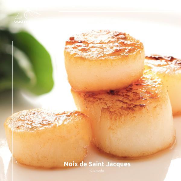 Japanese frozen scallops, large size 26-30 per kg, premium seafood product with natural white color and firm texture