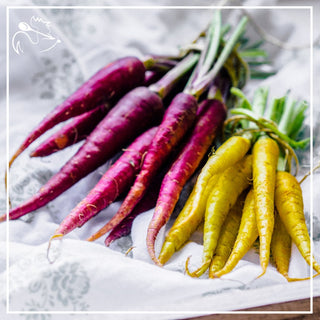 Fresh mini carrots with vibrant orange color in a bunch, perfect for snacking or cooking healthy vegetable side dishes
