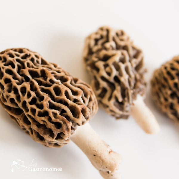 Frozen morels mushrooms package of 1kg, premium quality wild gourmet mushrooms for culinary delights, vacuum-sealed