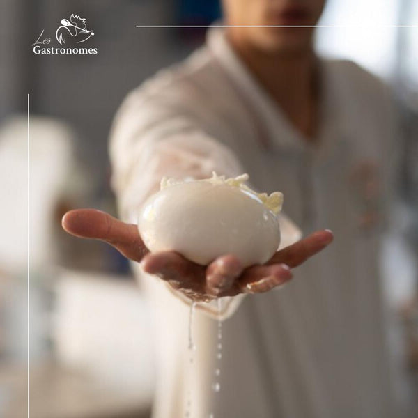 Fresh Italian mozzarella di bufala DOP cheese ball in traditional packaging, authentic 125g buffalo milk cheese