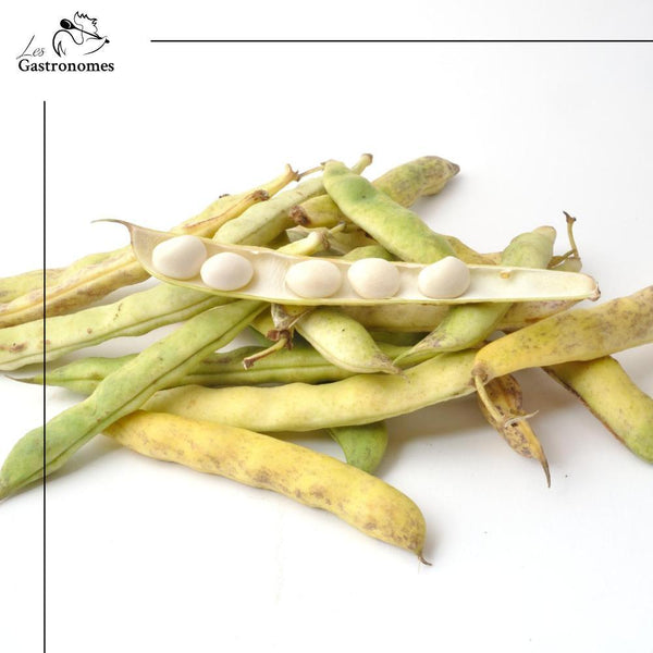 Paimpol Coco Beans AOP - 500g - Les Gastronomes