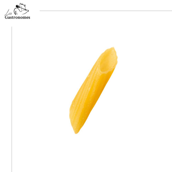 Penne ritorte matt organic pasta in a 500g package, Italian dried durum wheat pasta for homemade cooking