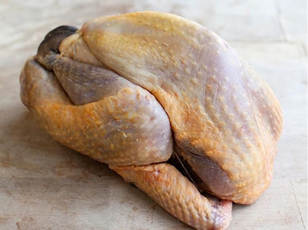 Pintade free range guinea fowl from France, whole fresh poultry with white spotted feathers on rustic wooden surface