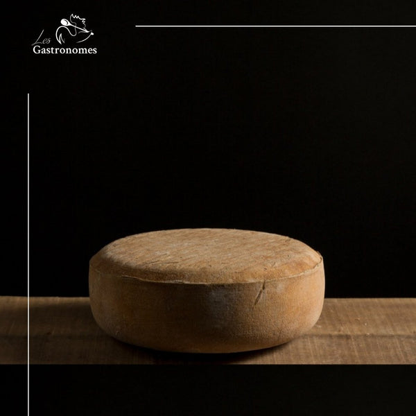 Pyrénées Brebis Basques - Ardi Gazna - Les Gastronomes