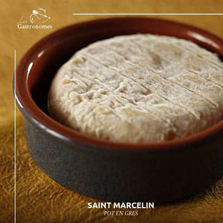 Saint Marcellin Pot-en-Gres AOP - Les Gastronomes