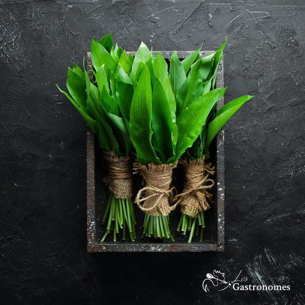 Wild Garlic, Ail des Ours 100g - Les Gastronomes