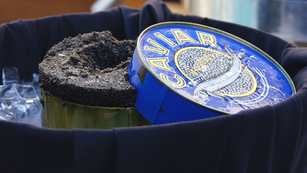 Exploring the World of Caviar: Types, Qualities, and Taste Notes - Les Gastronomes