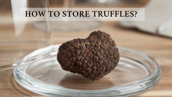 HOW TO STORE FRESH TRUFFLES? - Les Gastronomes