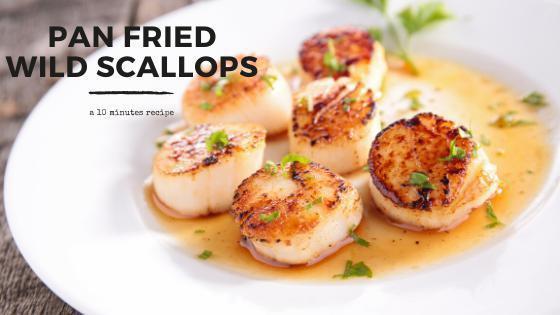 How to cook scallops? - Les Gastronomes