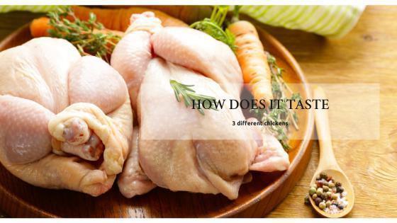 The Taste of Chicken - Les Gastronomes