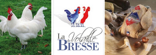 Bresse Chicken | Les Gastronomes