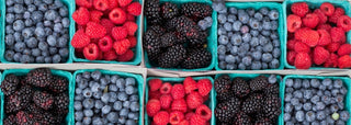 Figs & Berries | Les Gastronomes