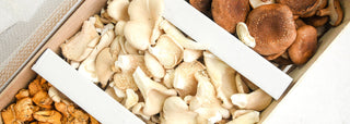 Mushrooms | Les Gastronomes