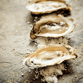 Oysters in Dubai - Les Gastronomes