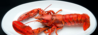 Pre-Cooked Seafood | Les Gastronomes
