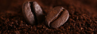 Raw Coffee | Les Gastronomes