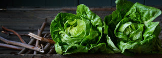 Salads & Leafs | Les Gastronomes