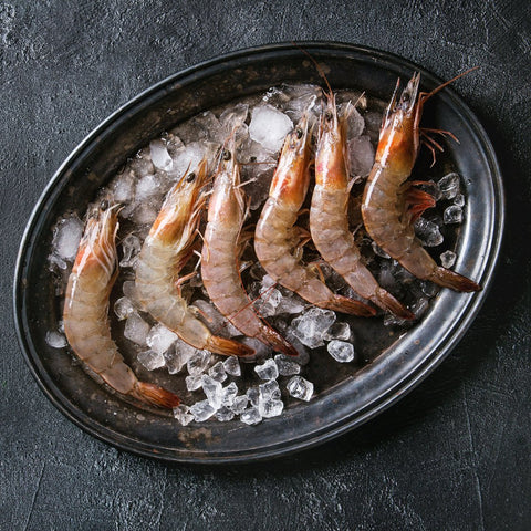 SEAFOOD | Les Gastronomes