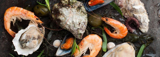 Seafood Platter Ingredients | Les Gastronomes