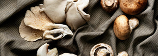 Truffles & Mushrooms | Les Gastronomes
