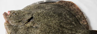 WILD FISH | Les Gastronomes