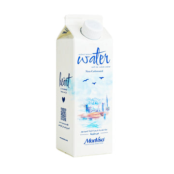 MonViso Still Water – Gable Top Carton 500ml × 15