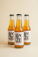 Apple Cinnamon Kombucha-2