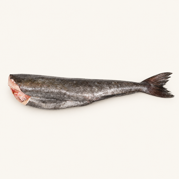 Wild Alaskan Black Cod 2–5 lb | Frozen | Priced per kg