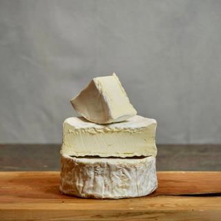 Brillat Savarin  by Les Freres Marchand