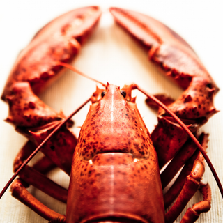 Lobsters & King Crabs