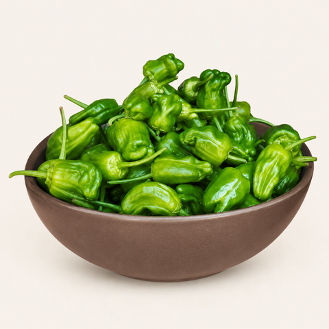 Fresh padron peppers sold in a 250g package, perfect for cooking, grilling or roasting as a delicious Spanish-style appetizer