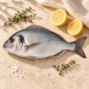 Greek Black Seabream, Whole — 600–800g | Fresh-2