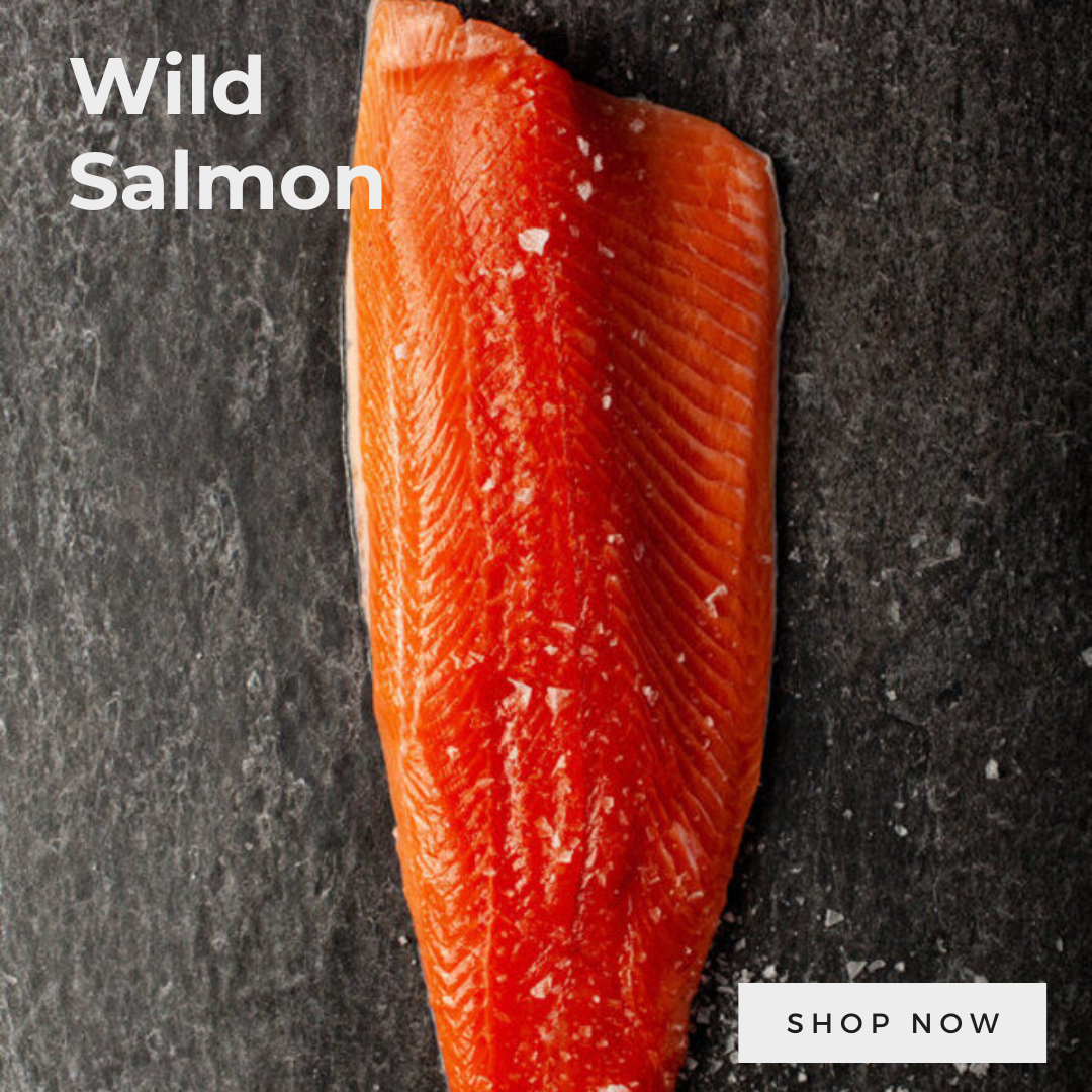 Wild salmon   mobile