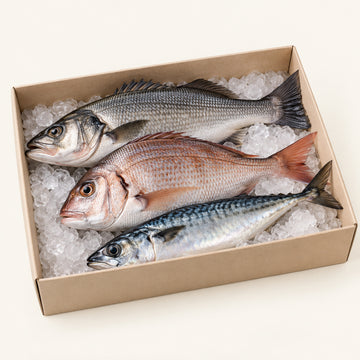 Fisherman’s Box with a changing selection of whole wild fish on ice
