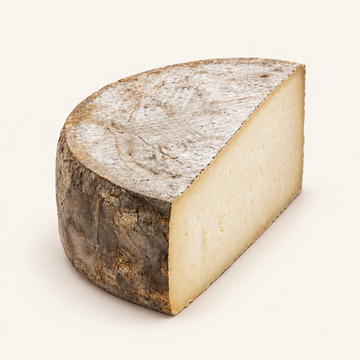 Fourme de Rochefort Fermière wedge, studio representation based on reference image