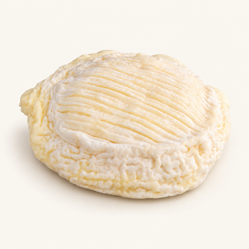 Saint-Félicien cheese, illustrative studio representation