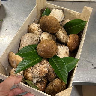 Fresh Wild Porcini Mushrooms, Handpicked, Premium Quality (Seasonal Gourmet) - Les Gastronomes