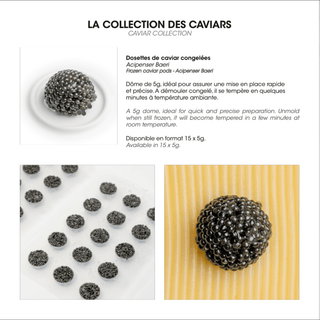 Frozen Baeri caviar pods - Acipenser Baeri - 100% Made In France - Les Gastronomes