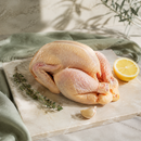Urgasa Free-Range Baby Chicken — 600g | Spain | Frozen — lifestyle image